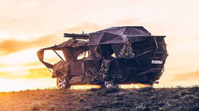 20+ civilians killed as car hits road mine in western Syria – reports