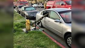 A PANE-ful lesson? Why you shouldn’t park in front of fire hydrants in the US (PHOTOS)
