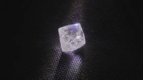 Unique 98.8 carat diamond unearthed in Russia’s Far North (PHOTO)