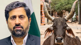 Pakistani minister forced to resign after calling Hindus ‘cow urine-drinking people’