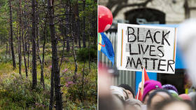 Racist forest? Sweden sparks PC debate over plans to take ‘N-word’ out of woodland name