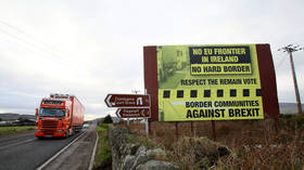 Smugglers’ dreamland? UK to waive checks on goods at Irish border in no-deal Brexit