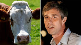 Beto's secret life as teenage hacker, bovine erotica poet in 'Cult of Dead Cow'
