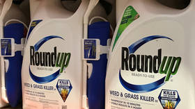 US jury finds Monsanto’s Roundup was a ‘substantial factor’ in causing man’s cancer