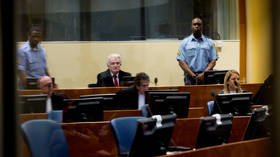 UN court increases Bosnian Serb leader Karadzic’s sentence to life in jail for ‘Srebrenica genocide’