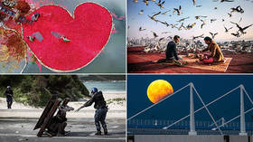 Wider geography, more talent: Andrei Stenin press photo contest sets new record