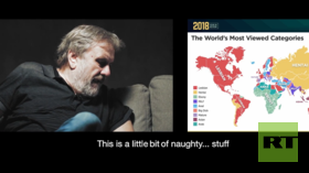 ‘We are moving into a new, controlled society worse than old totalitarianism’ – Zizek on Google leak