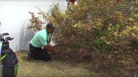 Out of the Woods: Tiger produces INCREDIBLE trick shot to save par at WGC-Dell Match Play (VIDEO)