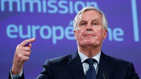 Length of Brexit delay granted by EU depends on May request – EU negotiator Barnier