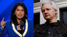 Toe the line or go to jail:  Tulsi Gabbard says Assange arrest is a message to Americans