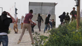 Palestinian family attacked with stones as Israeli settlers storm village in West Bank (VIDEO)
