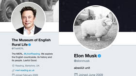 ‘I’m an absolute unit too’: Musk revives viral 2018 ram meme in bizarre exchange with English Museum