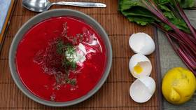 ‘I lived in Russia for ‘14 f*****g years!’ Guardian’s DILL expert totally sure what’s in a BORSCH
