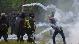 Tear gas & batons near EU Parliament as Strasbourg police struggle to hold off marching Yellow Vests