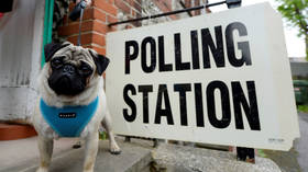 Poochy politics: #dogsatpollingstations trends on Twitter, as Brexit-tired Brits vote in local polls