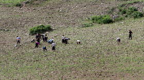 N. Korea seeing worst drought in a century – state media