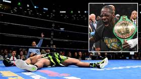 'He hit him so hard, they're feeling it in Brazil!' Wilder demolishes Breazeale in NY (VIDEO)