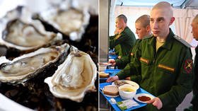 We don’t serve oysters yet, but Russian troops are very well-fed – deputy DM