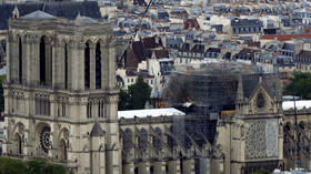 No rooftop gardens: French Senate says Notre Dame must be restored as before