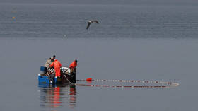 Israel tightens Gaza fishing restrictions after new fire balloons – ministry