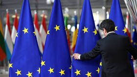 Zizek: Only a pan-European left can defeat ‘populism’