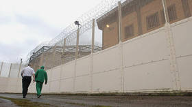 Rehabilitate or open UK Gitmo? RT panel discusses Muslim gangs in British prisons
