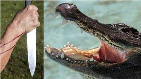 Texas unicorn? Alligator calmly swimming around despite KNIFE in its skull wins internet fame