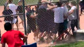 Un-childish temper: Parents stage mass brawl at under-7s baseball game (VIDEO)