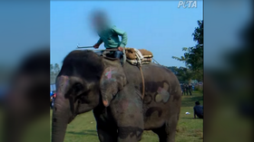 Elephants beaten and jabbed by handlers to 'play games' in horrifying footage