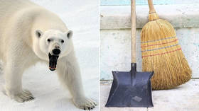 Fearless Moscow Zoo cleaner fends off polar bear with broom (VIDEO)