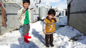 Lebanon starts destroying Syrian refugee shelters as govt ultimatum expires – report