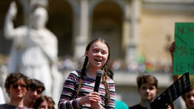 'F**k you Greta' bumper stickers appear on German roads, taking aim at youth climate activist