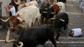 7 injured in Pamplona bull run, as veterans decry ‘lack of thrills’ (PHOTOS)