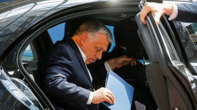 Hungary’s Orban takes low-cost flight home, but some cry foul (PHOTO)