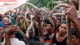 WATCH Indian devotees parade snakes as part of Hindu ritual