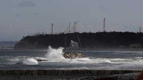 Japan’s TEPCO to decommission 2nd Fukushima nuclear plant – report