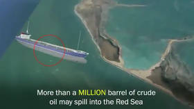 ‘Ticking bomb’: Abandoned tanker in Red Sea could EXPLODE & spill 1m barrels of oil into the ocean
