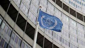 Romanian diplomat Feruta appointed as interim chief of UN nuclear watchdog IAEA