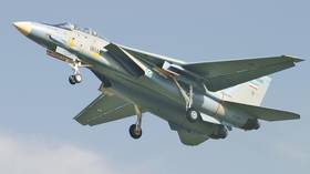Iranian fighter jet crashes near Persian Gulf coast
