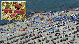 Killer bacteria leaves woman dead after beach trip in Germany