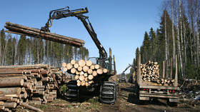 Lost forests: Russia considers banning lumber exports to China over concerns about illegal logging