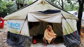 Bangladesh making 2nd attempt to return Rohingya to Myanmar – UN