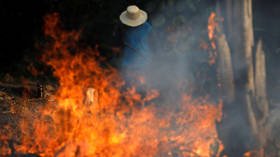 Sao Paulo plunged into darkness by epic Amazon wildfire smoke (PHOTOS, VIDEOS)