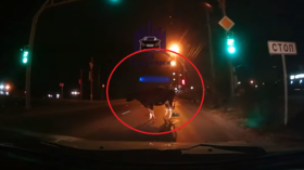 Meanwhile in Russia: Dashcam of stolen cow falling from truck sparks manhunt (VIDEO)