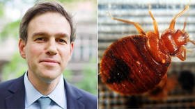 What’s bugging Bret? NYT columnist has epic meltdown, quits Twitter after being called ‘bedbug’