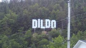 Good vibes: YouPorn offers town of Dildo $100k-worth in ads to lure visitors