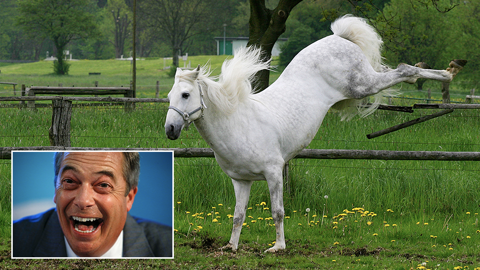 ‘I was kicked in the head by a horse’ and then I believed in Brexit