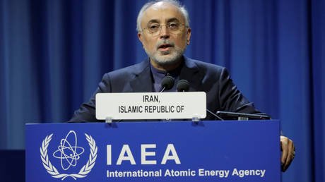 Ali-Akbar Salehi, head of Iran's Atomic Energy Organization, attends IAEA conference © Reuters / Leonhard Foeger