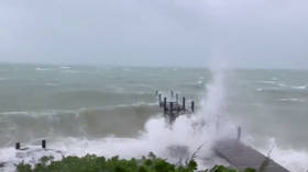 Hurricane Dorian smashes houses & cars, knocks trees on destructive landfall in the Bahamas (VIDEO)