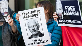 Anonymous hacker in Stratfor leak moved to jail with Manning to testify against Assange & WikiLeaks